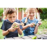 Haba Terra Kids [8 jaar +] Houtraspenset - 304342