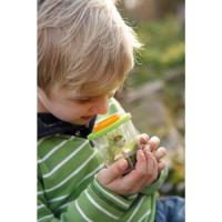 Haba Terra Kids [5 jaar +] Insectenpotje - 5241