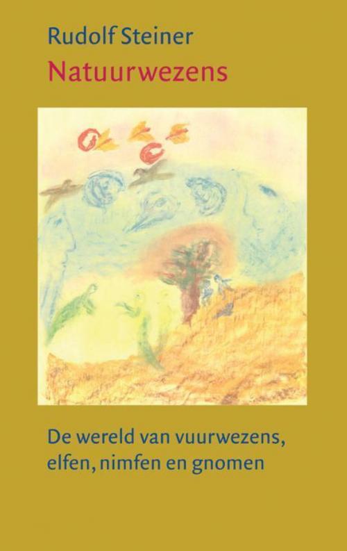 Christofoor Adult - Natuurwezens, de wereld van vuurwezens, elfen, nimfen en gnomen - Rudolf Steiner - paperback